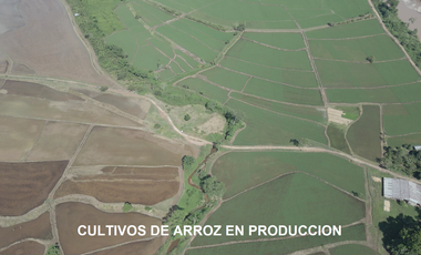 VENDO TERRENO AGRICOLA INDUSTRIAL EN TARAPOTO PERÚ