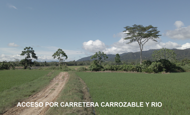 VENDO TERRENO AGRICOLA INDUSTRIAL EN TARAPOTO PERÚ