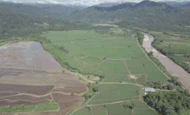 VENDO TERRENO AGRICOLA INDUSTRIAL EN TARAPOTO PERÚ