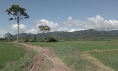 VENDO TERRENO AGRICOLA INDUSTRIAL EN TARAPOTO PERÚ