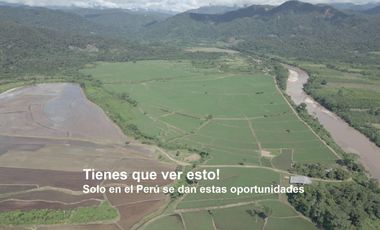 VENDO TERRENO AGRICOLA INDUSTRIAL EN TARAPOTO PERÚ