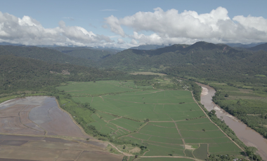 VENDO TERRENO AGRICOLA INDUSTRIAL EN TARAPOTO PERÚ