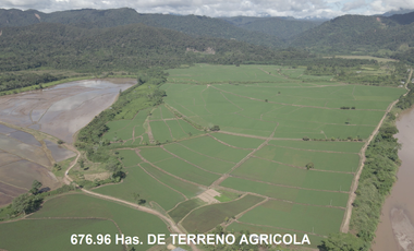 VENDO TERRENO AGRICOLA INDUSTRIAL EN TARAPOTO PERÚ