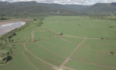 VENDO TERRENO AGRICOLA INDUSTRIAL EN TARAPOTO PERÚ