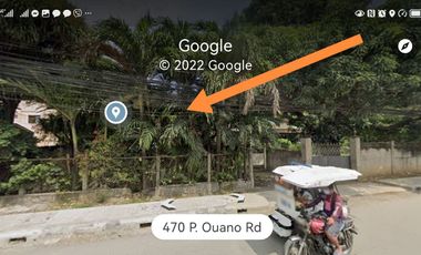Commercial Property for Sale in Along G. Ouano St. Alang-Alang, Mandaue City