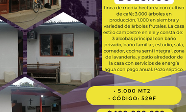 529F FINCA EN VENTA BUESACO