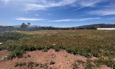 Terreno 6700m2 Plano Y Cerrado Sector Industrial Ceres La Serena