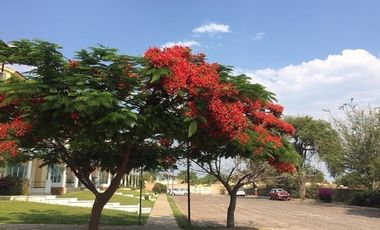 Casa amueblada renta Riberas del Chante Chapala