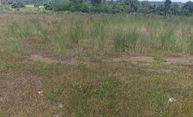 45,000 sqm or 4.5 hectares Lot for Sale in San Miguel Bulacan