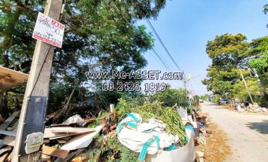Empty land for sale in the area of Sri Wang Noi Village, Rojana, Lam Ta Sao, Ayutthaya: near C. Wimon Karnchang Stainless Steel. and Golden Deep Company (Thailand) : 50 sq m : CODE NN-91327