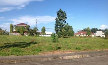 Overlooking 427 sqm residential lot for sale in Royale Cebu Estates Consolacion Cebu