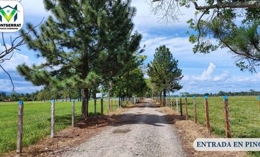 VENTA DE LOTES VEREDA RESGUARDO ACACIAS META