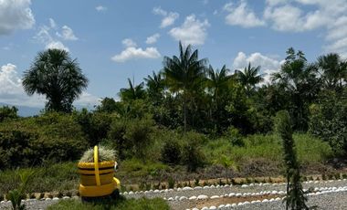 VENTA DE LOTES VEREDA RESGUARDO ACACIAS META