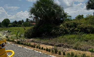 VENTA DE LOTES VEREDA RESGUARDO ACACIAS META
