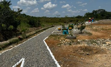 VENTA DE LOTES VEREDA RESGUARDO ACACIAS META