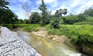 Urgent sale!! Beautiful almost 6 Rai surrounded by nature and canal for sale in Klokkoi, Phangnga