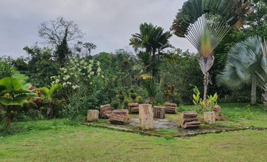 Venta finca de 40 Hectáreas