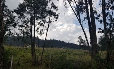 EN VENTA TERRENO SAN JUAN DE CUMBAYA COLEGIO TERRANOVA, $250.000.