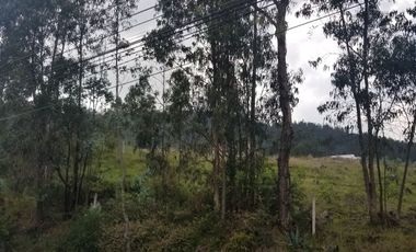 EN VENTA TERRENO SAN JUAN DE CUMBAYA COLEGIO TERRANOVA, $250.000.