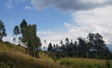 EN VENTA TERRENO SAN JUAN DE CUMBAYA COLEGIO TERRANOVA, $250.000.