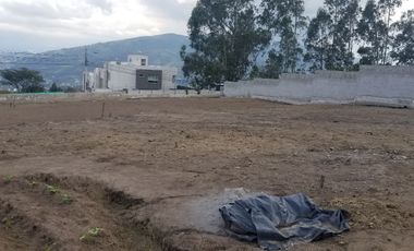 EN VENTA TERRENO SAN JUAN DE CUMBAYA COLEGIO TERRANOVA, $250.000.