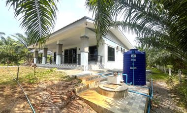 Charming 2 Bedroom Garden House for Rent in Khok Kloi, Phangnga