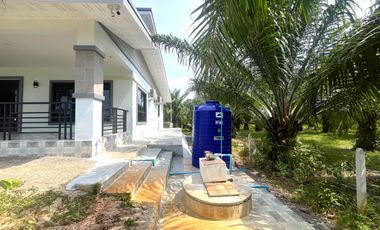 Charming 2 Bedroom Garden House for Rent in Khok Kloi, Phangnga