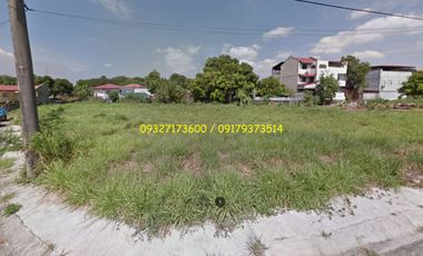 Corner Lot For Sale Near Quezon City Christian Academy Geneva Garden Neopolitan VII