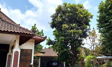 Rumah Etnik Luas Hanya 100 meter dari Perempatan Gedongkuning