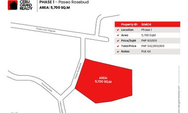 5700 SqM Prime Flat Lot for Sale in Maria Luisa Park Phase 1