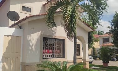 Se alquila casa en ciudad celeste