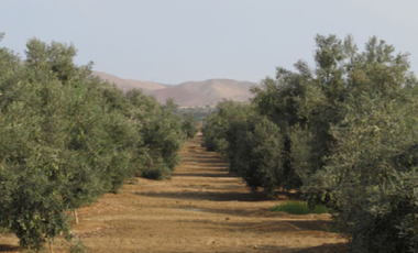 Terreno En Exclusivo Condominio De Pucusana