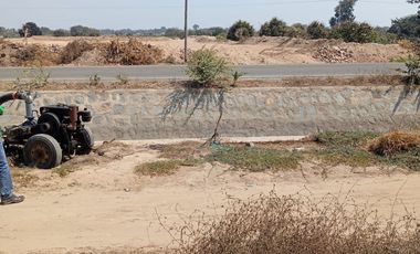 Terreno ideal para agroindustria