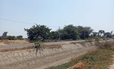 Terreno ideal para agroindustria