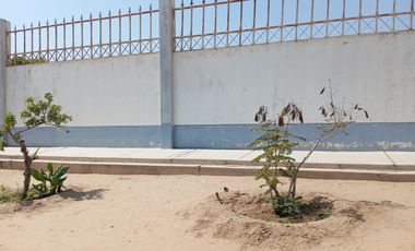 Terreno ideal para agroindustria