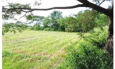 Bulacan  | Agricultural Lot For Sale - #4873