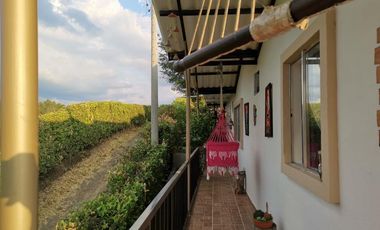 VENDO HERMOSA CASA CAMPESTRE EN LA VIA MORELIA ALCALA