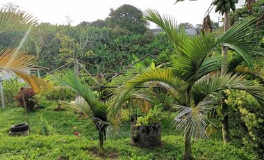 VENDO HERMOSA CASA CAMPESTRE EN LA VIA MORELIA ALCALA