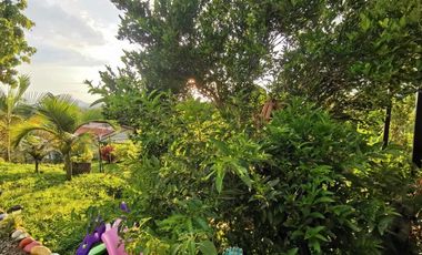 VENDO HERMOSA CASA CAMPESTRE EN LA VIA MORELIA ALCALA