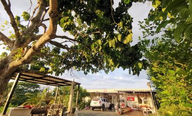 VENDO HERMOSA CASA CAMPESTRE EN LA VIA MORELIA ALCALA