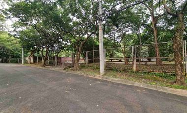 South Forbes | Residential Lot for Sale in Silang, Cavite