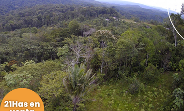 Terreno en venta, Comunidad San Francisco, parroquia Puerto Napo, Ecuador, ideal para proyecto turístico o agrícola