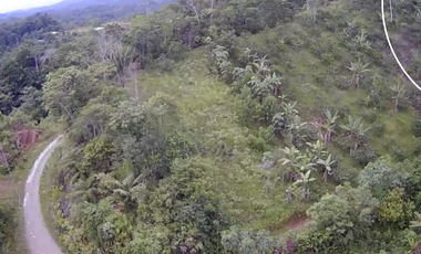 Terreno en venta, Comunidad San Francisco, parroquia Puerto Napo, Ecuador, ideal para proyecto turístico o agrícola