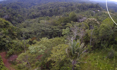 Terreno en venta, Comunidad San Francisco, parroquia Puerto Napo, Ecuador, ideal para proyecto turístico o agrícola