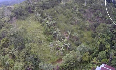 Terreno en venta, Comunidad San Francisco, parroquia Puerto Napo, Ecuador, ideal para proyecto turístico o agrícola