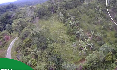 Terreno en venta, Comunidad San Francisco, parroquia Puerto Napo, Ecuador, ideal para proyecto turístico o agrícola