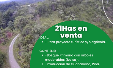 Terreno en venta, Comunidad San Francisco, parroquia Puerto Napo, Ecuador, ideal para proyecto turístico o agrícola