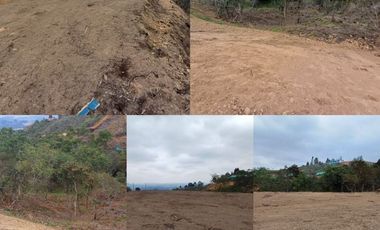 Lotes Campestres de 2.000 m2, sector aeropuerto tunel de oriente