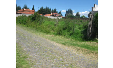 Lote amplio en Urbanizacion con seguridad en Puembo, a dos cuadras Highlands School