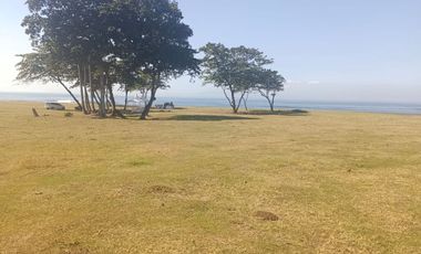 Freehold - Beachfront Land in Great Location Saba